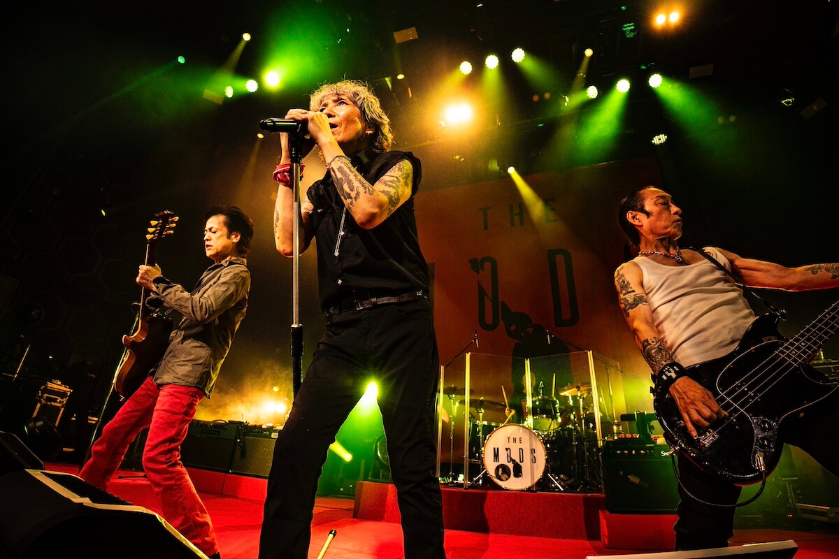 BACKBEAT AGAIN！<br>  THE MODS、死刑台からの帰還。